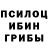 Галлюциногенные грибы Magic Shrooms Iskandar Reno