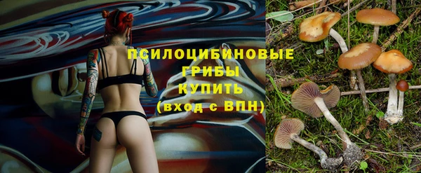не бодяженный Михайловск