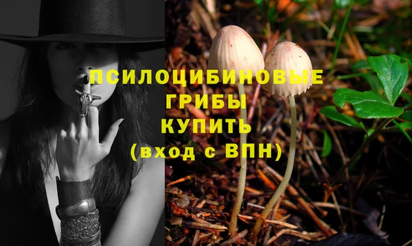 скорость Михайловка