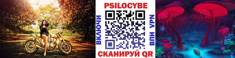 гидра вход  Георгиевск  Галлюциногенные грибы прущие грибы 