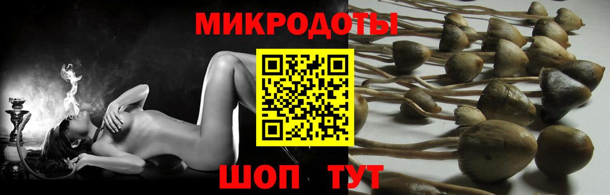 Псилоцибиновые грибы Psilocybine cubensis  Псилоцибиновые грибы Psilocybe  Вход с VPN  Георгиевск 
